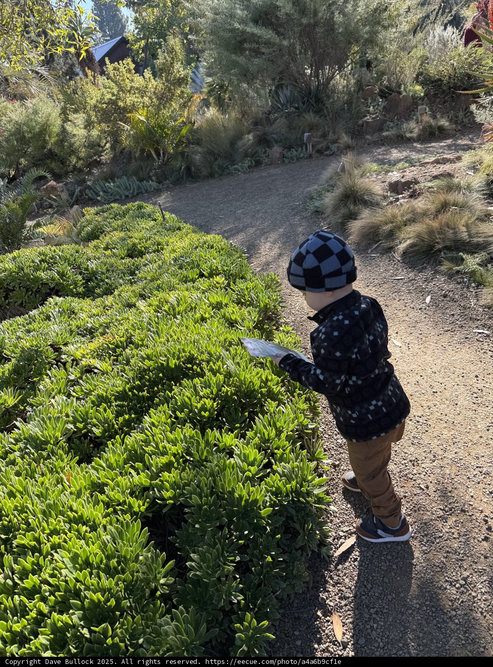 Exploring Nature's Pathway