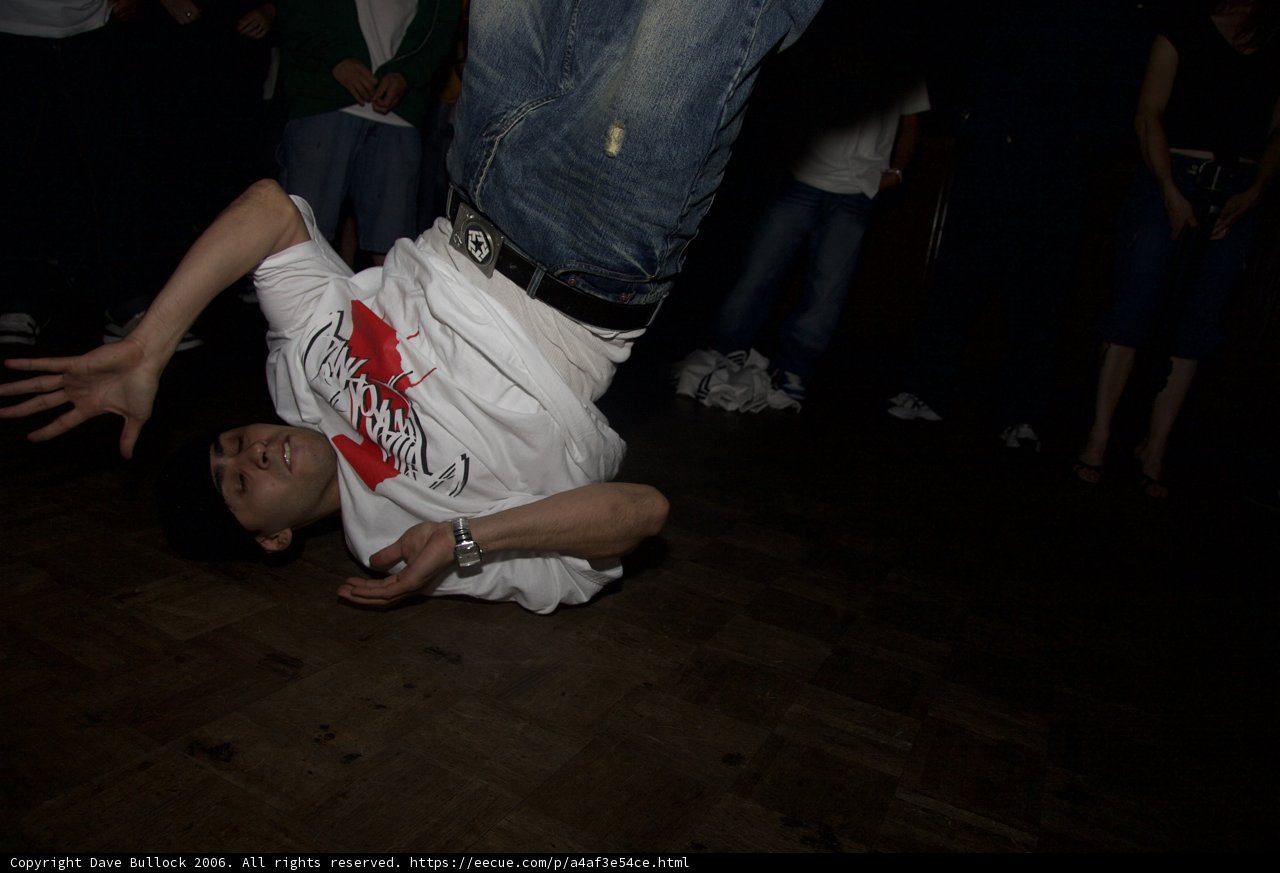 Trickster on the Wooden Floor