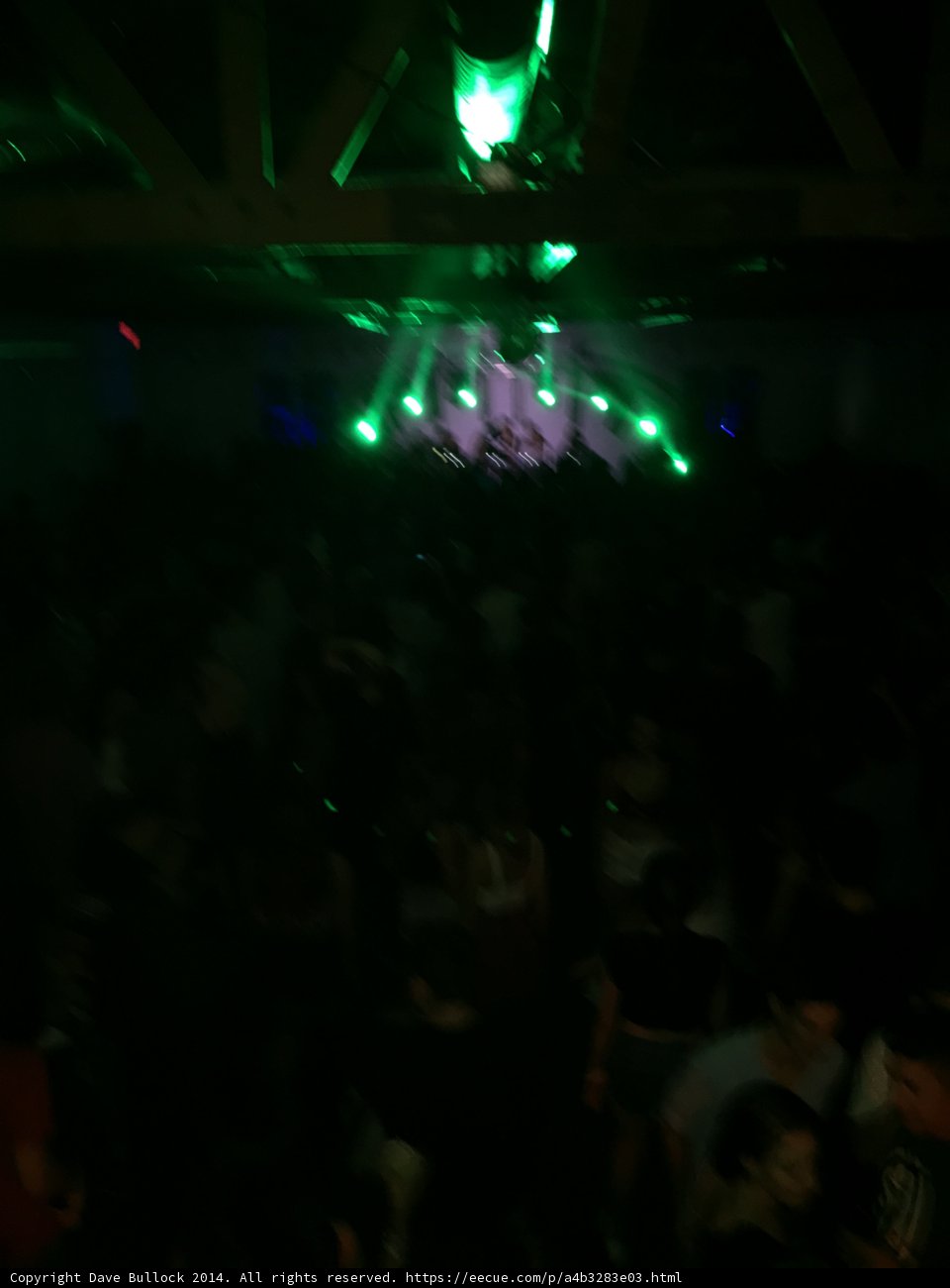 Green Lights Illuminate the Night Club Crowd