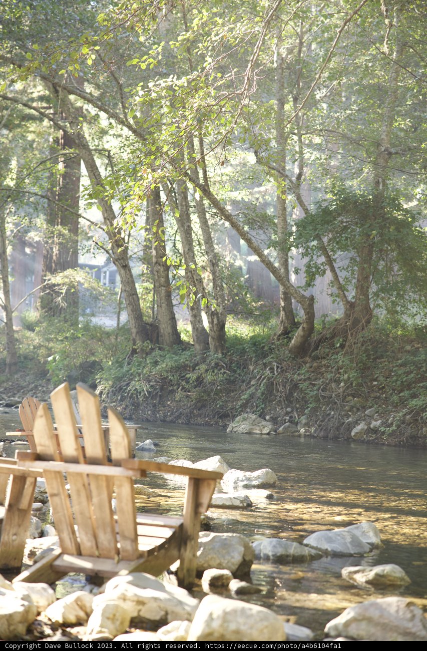 Serene Solitude