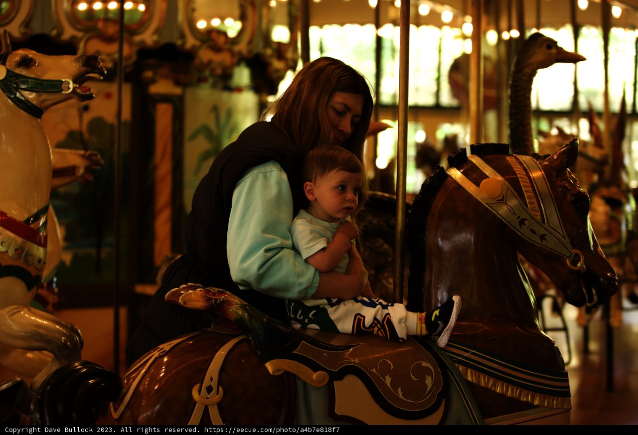 Carousel Delights at SF Zoo