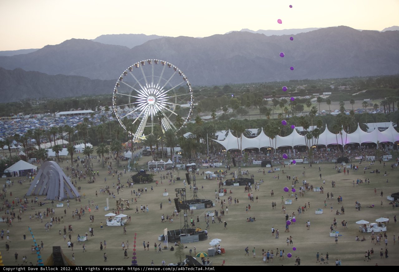 Ferris Wheel Fun at Coachella