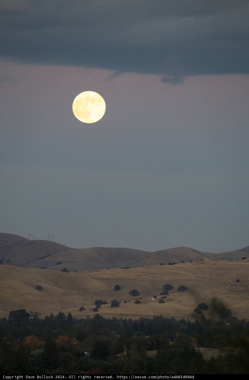 Lunar Grace Over Walnut Creek