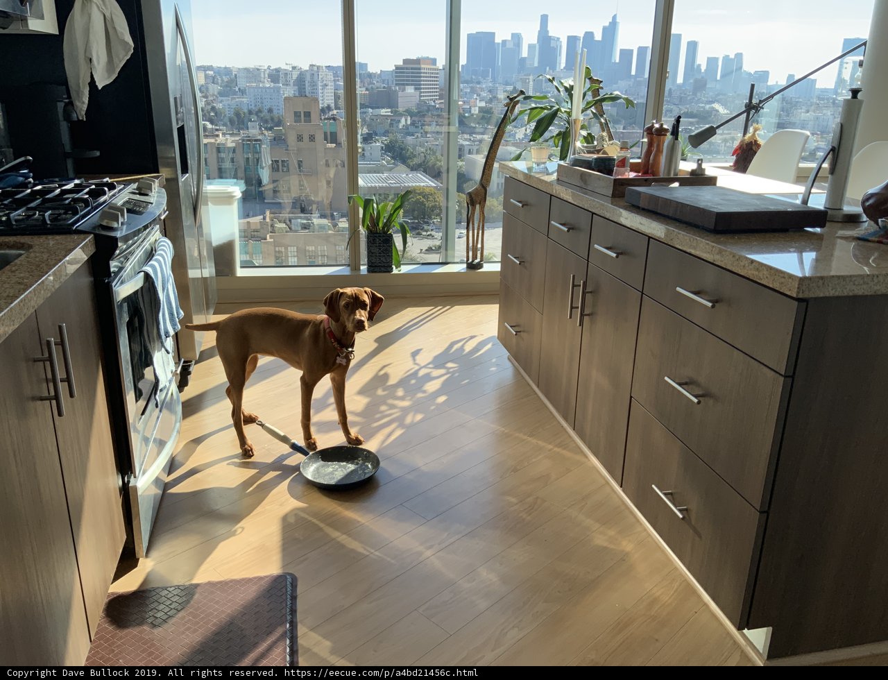 Robo-Cleaning Buddy