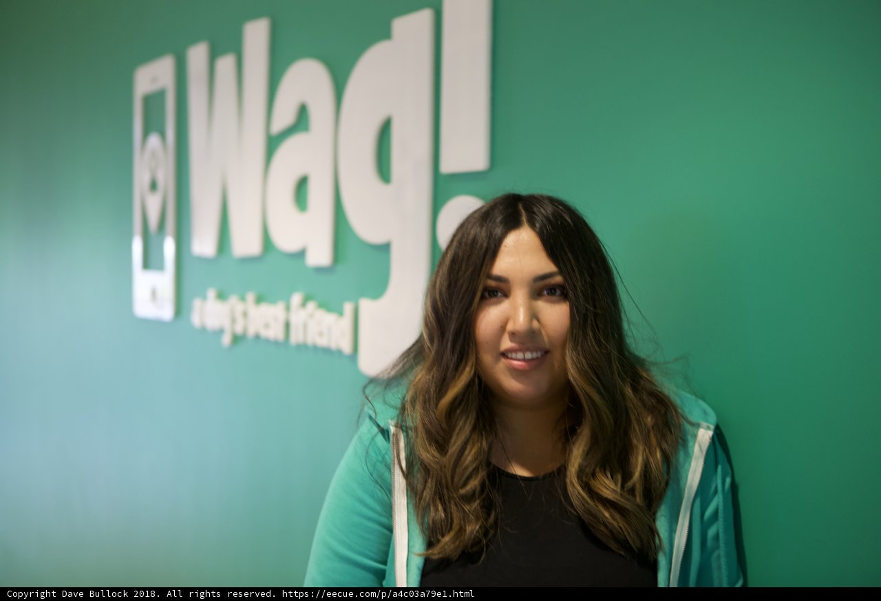 Happy Girl in front of WAG Logo