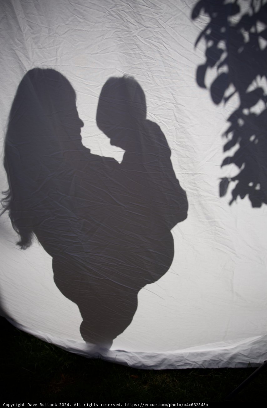 Embracing Shadows
