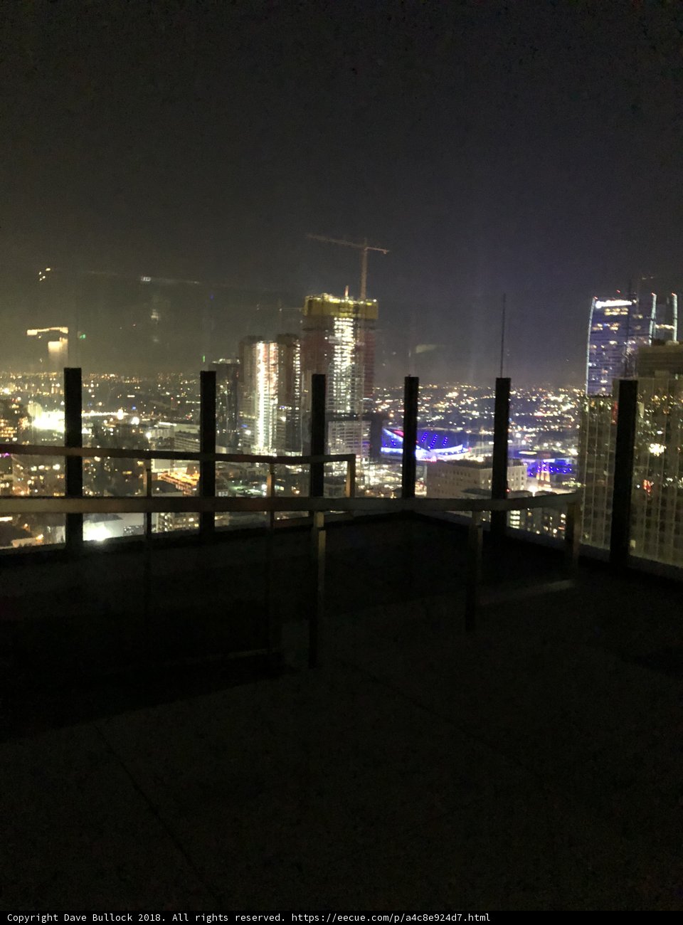 Metropolis Nights