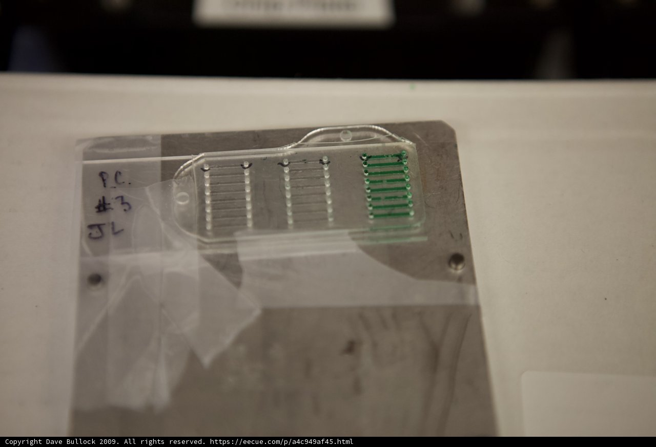 Micro Bio Chip for Data Storage
