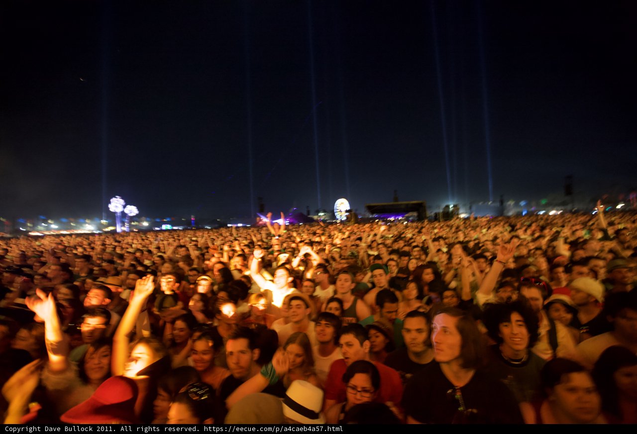 Coachella Nights