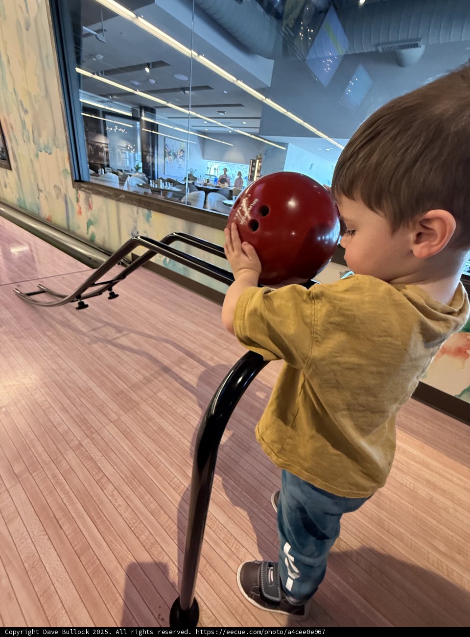 Little Bowler's Big Moment