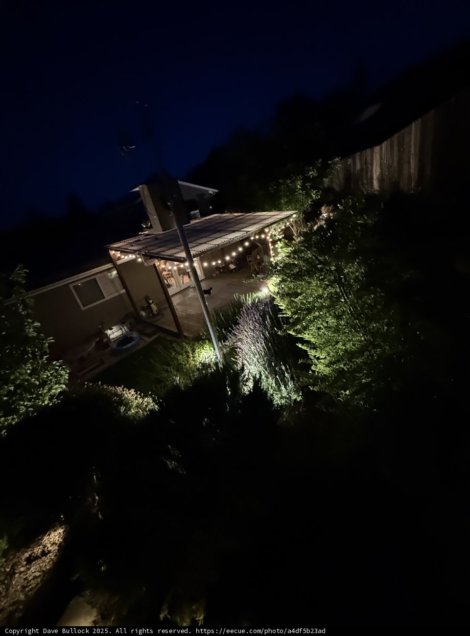 Evening Glow in the Urban Garden