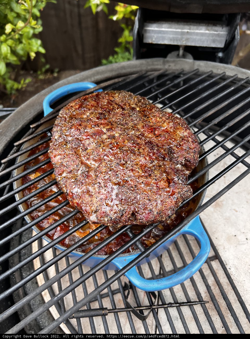 Summertime BBQ Delight