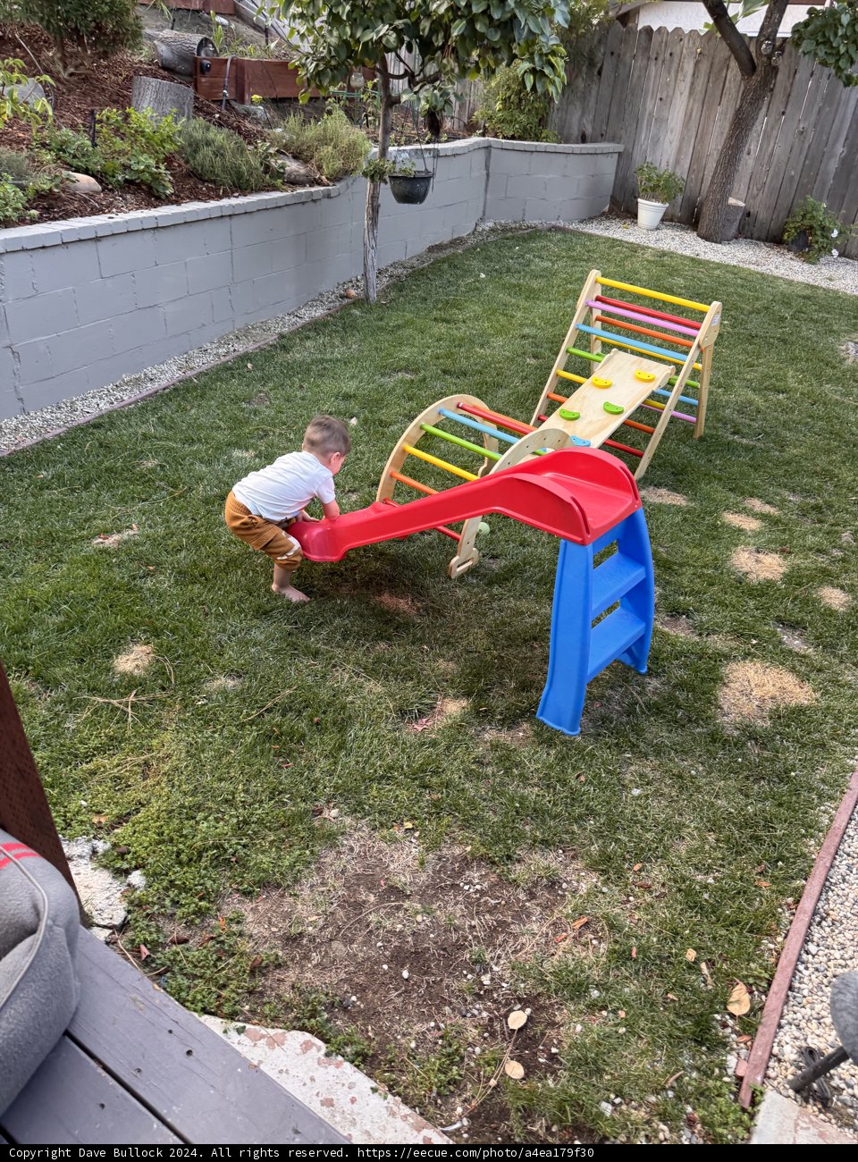 Backyard Adventures