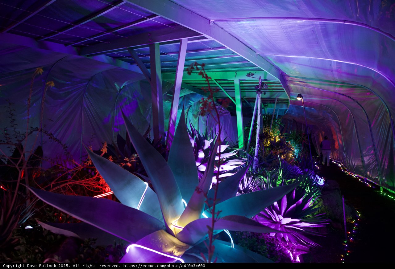 Enchanted Night at the Garden of D'Lights