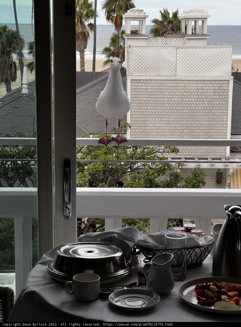 Dining on the Balcony