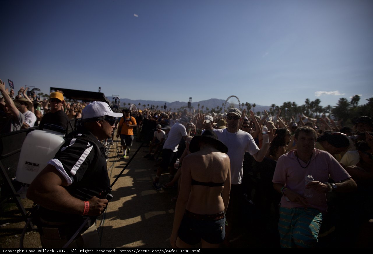 Festival Vibes