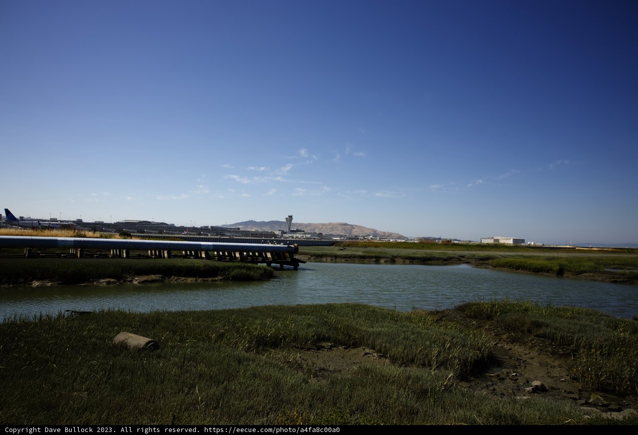 Nature Meets Industry in Millbrae, 2023