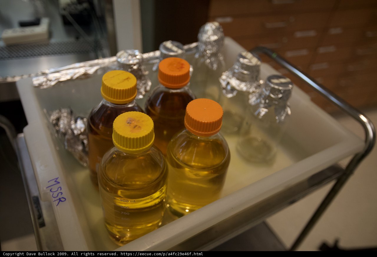 Oils, Perfumes and More