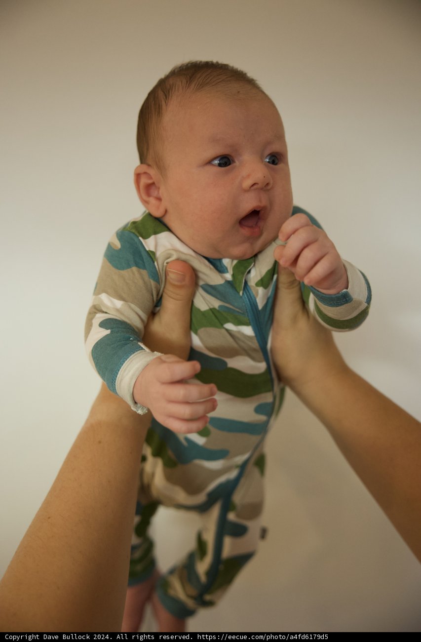 Tiny Explorer