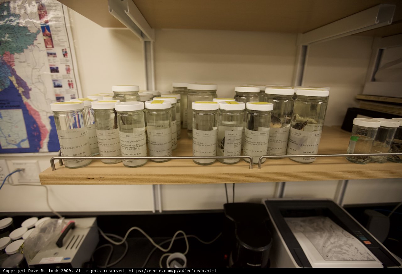 A Shelf of Remedies