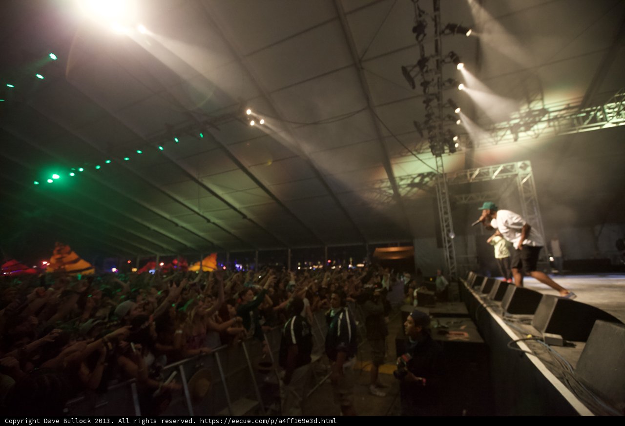 Rocking the Crowd at Coachella