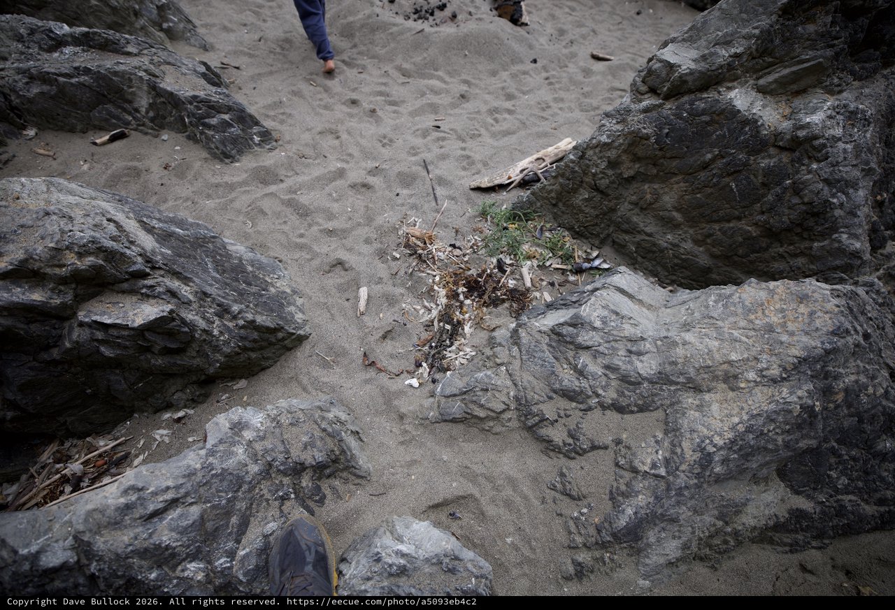 Debris Scattered Between Rocky Beach Outcroppings