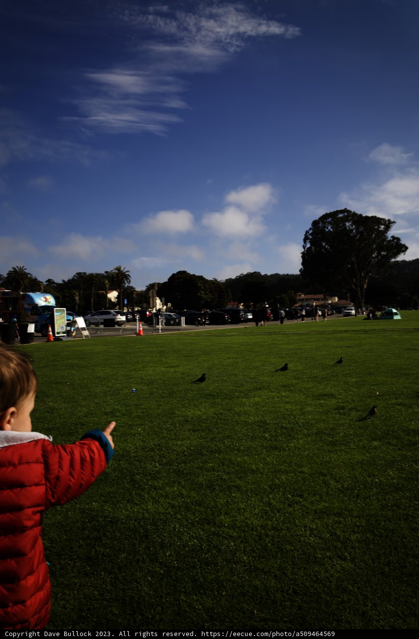 Childhood Adventures in the Presidio Skies