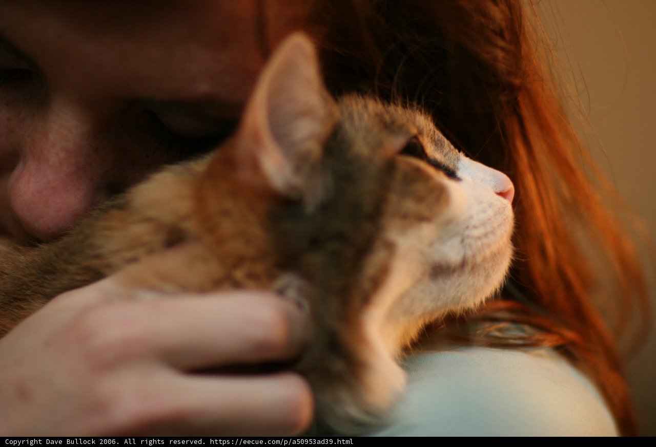 Woman and Abyssinian Cat