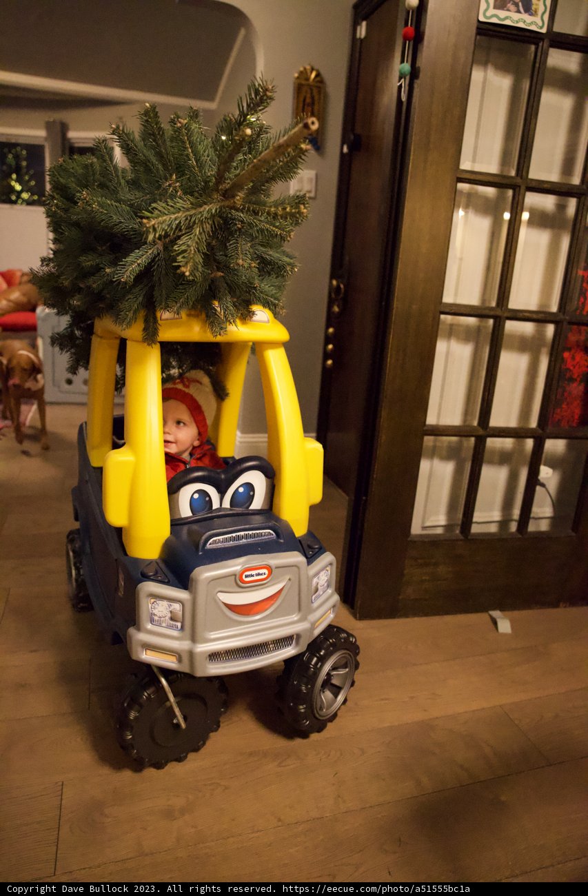Festive Joy Ride: Wesley's Miniature Christmas Adventure
