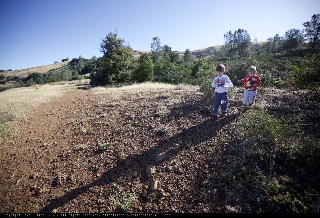 Young Explorers Hiking the Hills of Mount Diablo