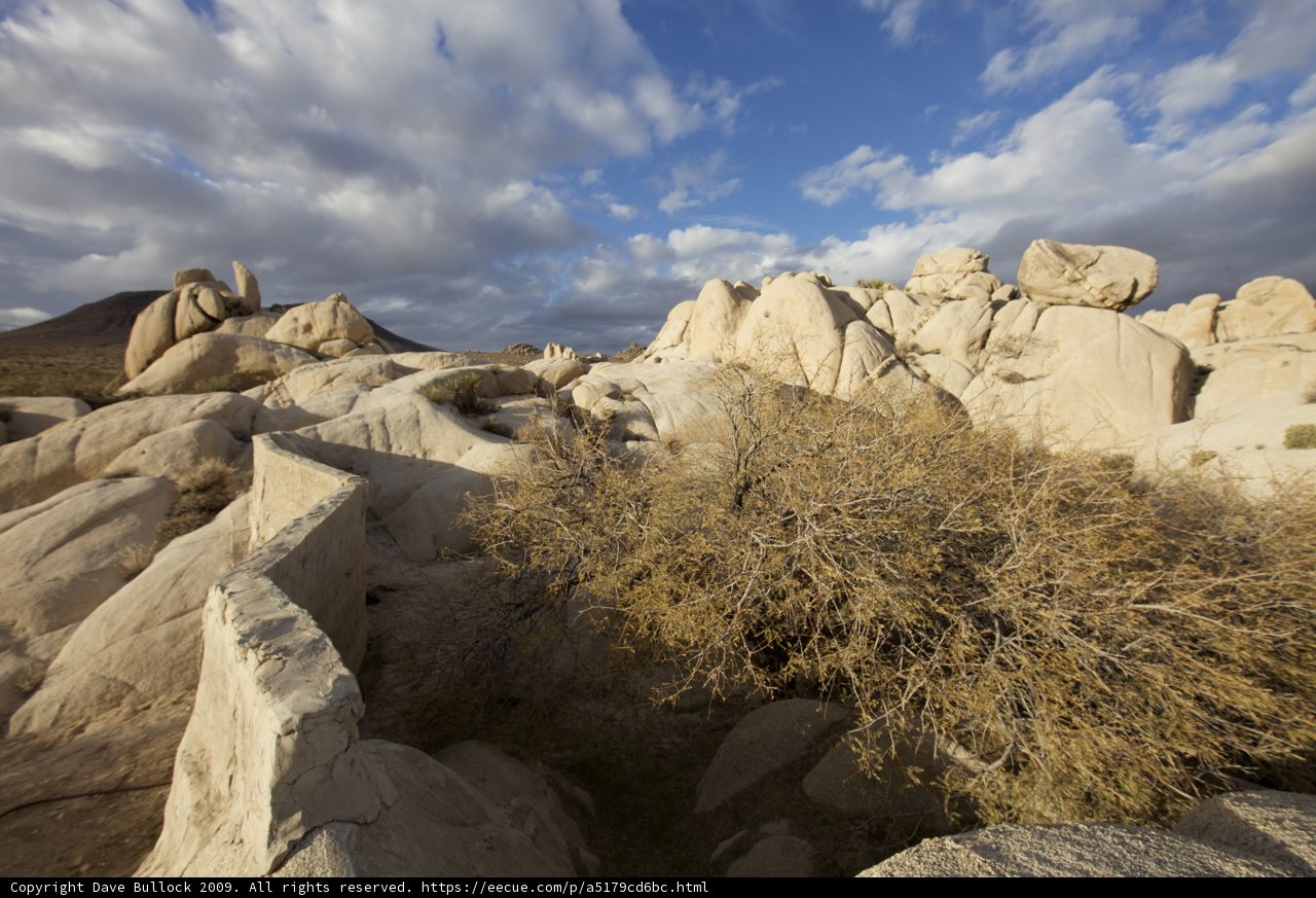 Winter Wonderland in the Joshua Tree Desert
