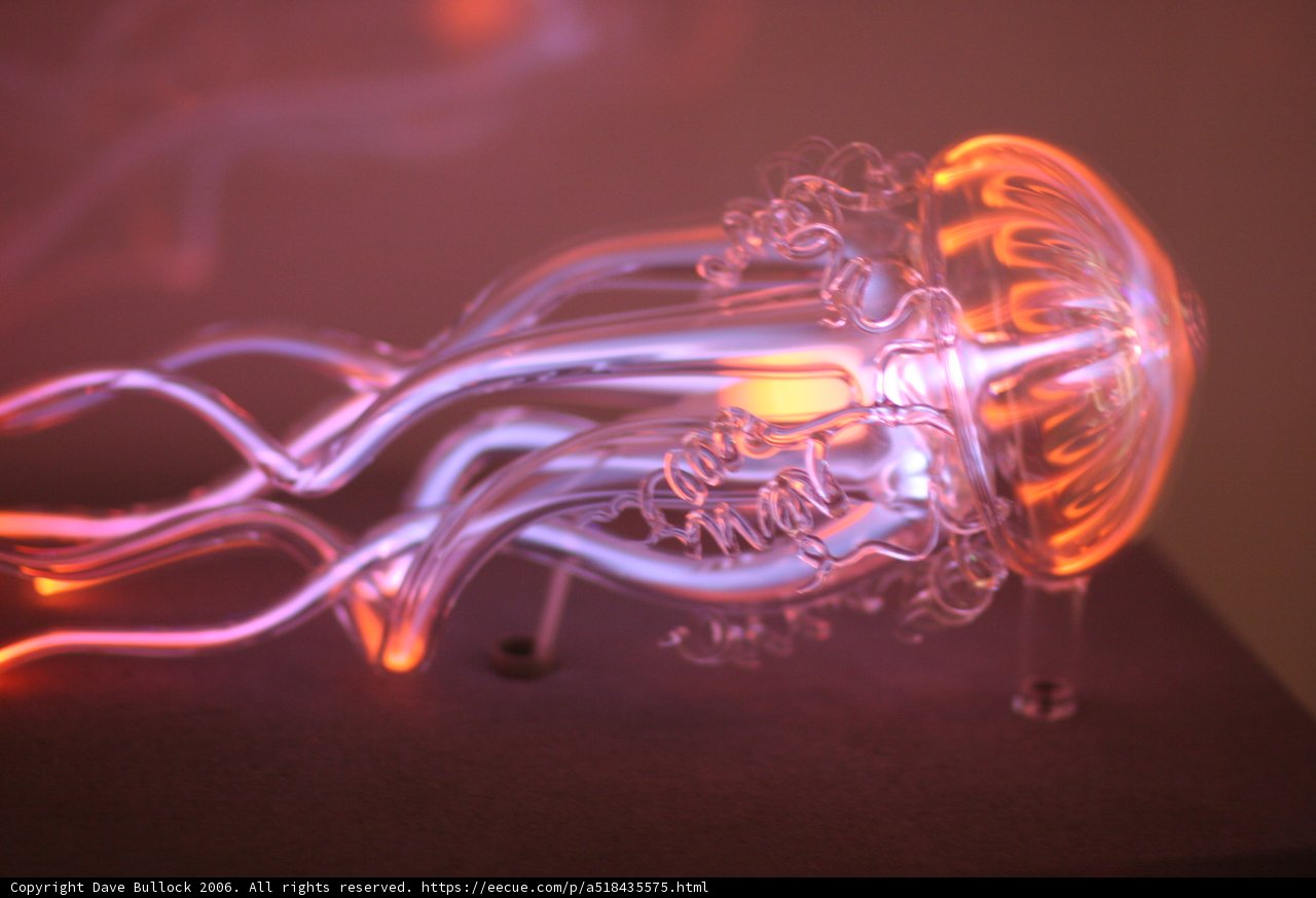 Illuminated Jellyfish