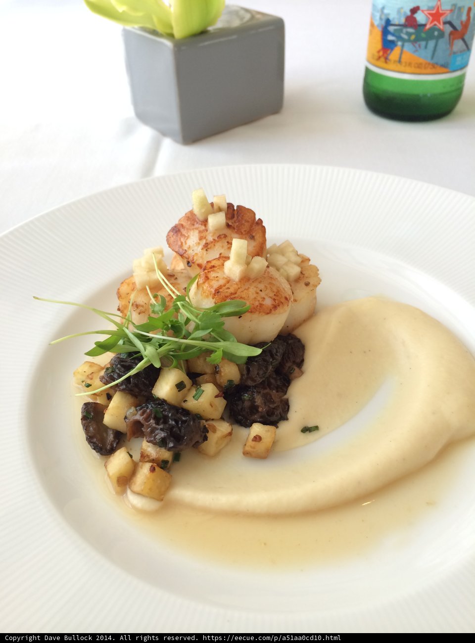 Fresh and Flavorful Scallops with Seasonal Vegetables