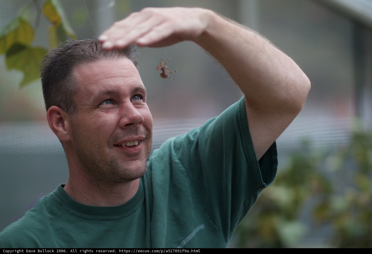 Green shirt man holding a small insect