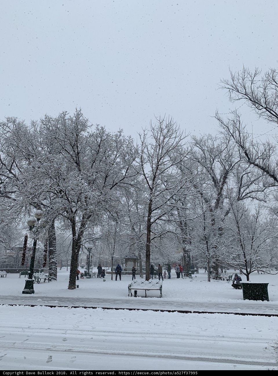 Winter Wonderland