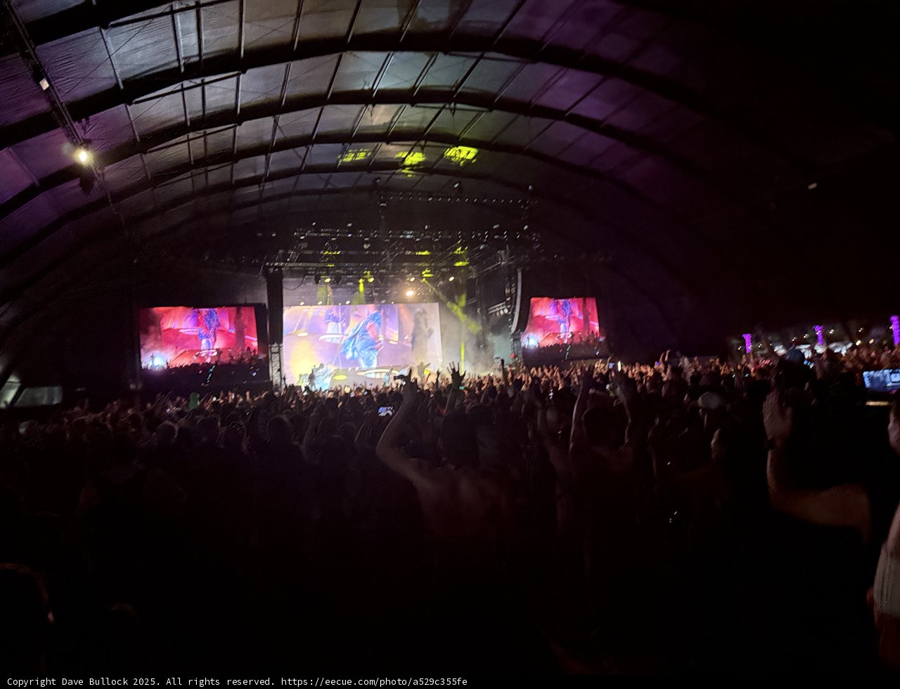 Euphoric Nights: Live Under the Lights