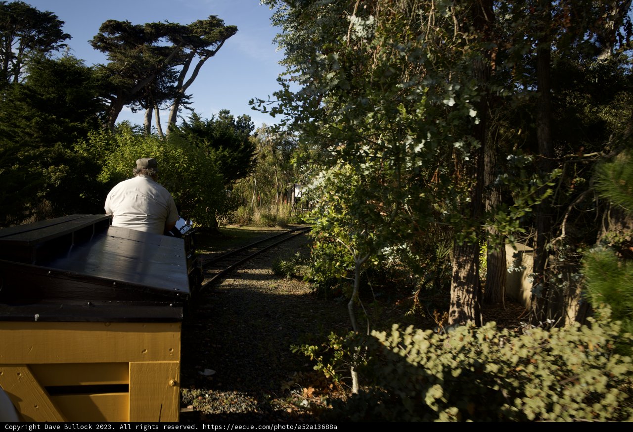 Contemplative Journey through Nature Trails
