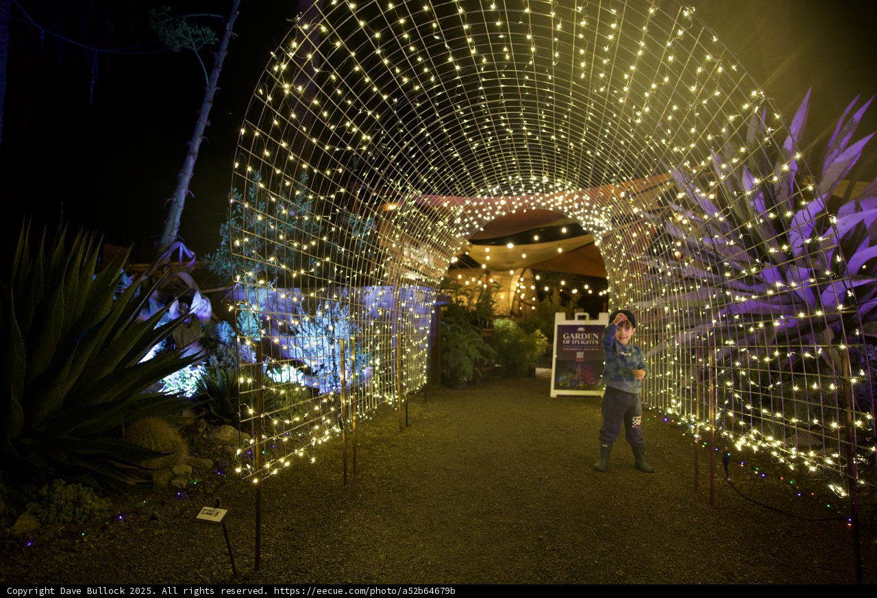 Enchanted Evening in the Garden of D'Lights