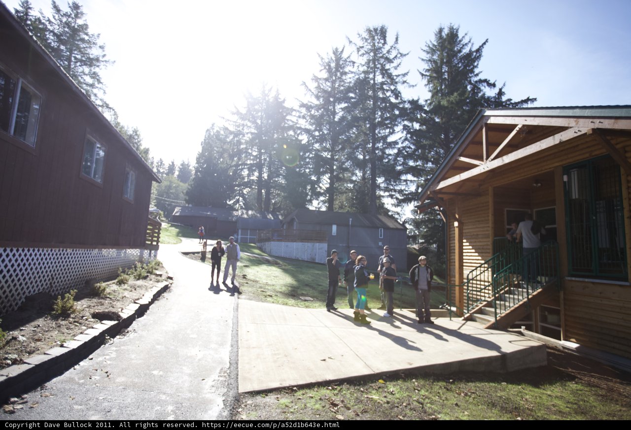 A Walk to the Cabin