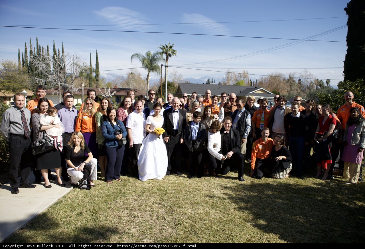 A Gathering of Distinguished Wedding Guests