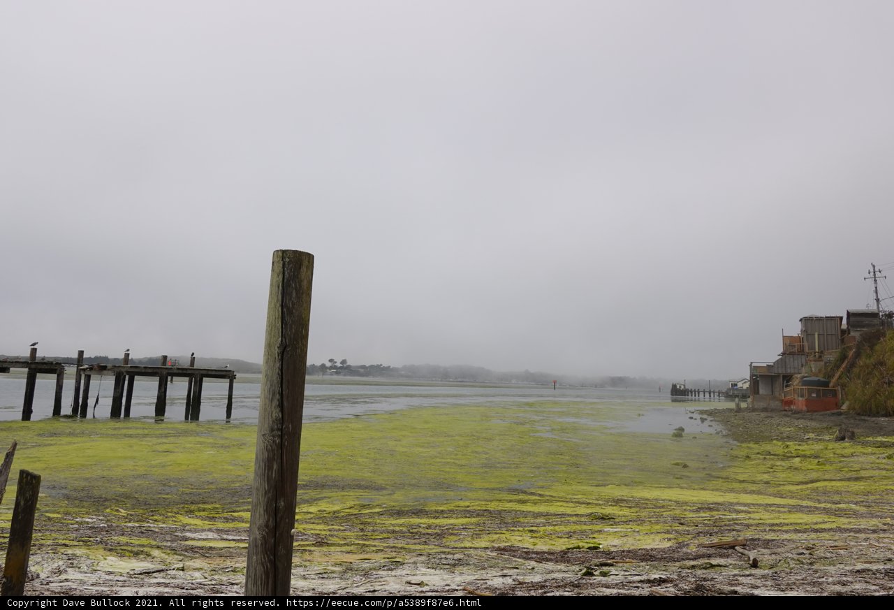 Serene Waterfront View