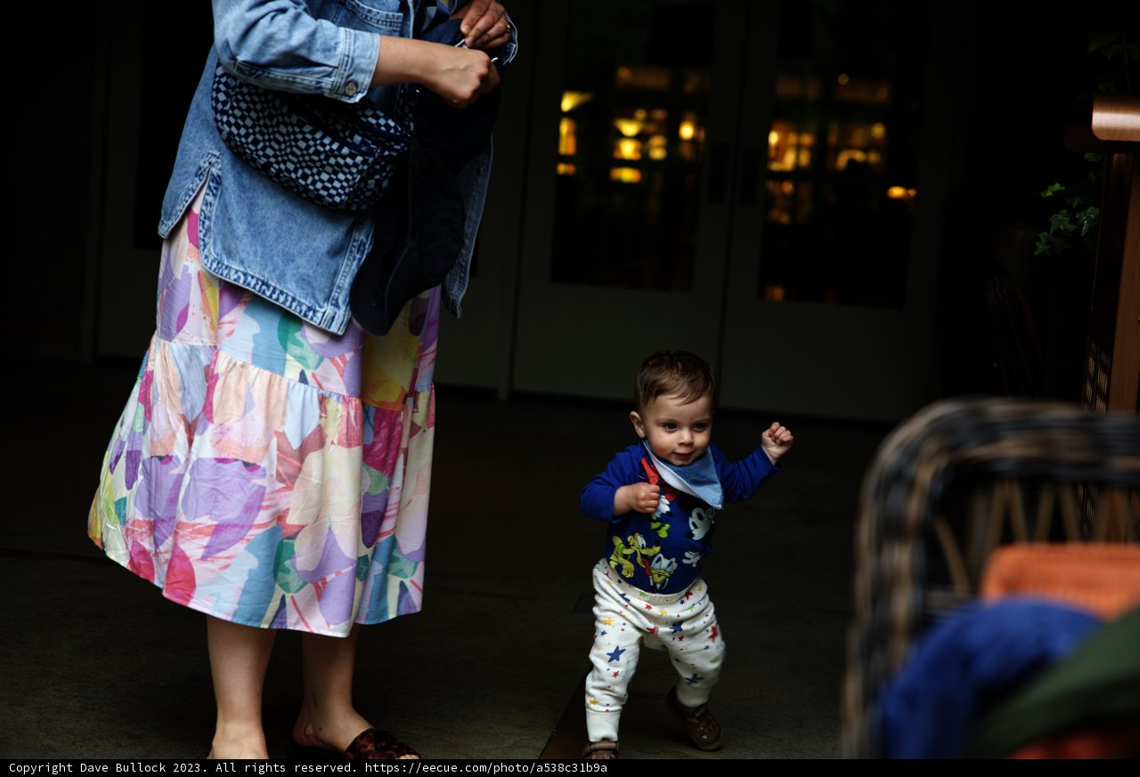 Magical Moments at Disneyland