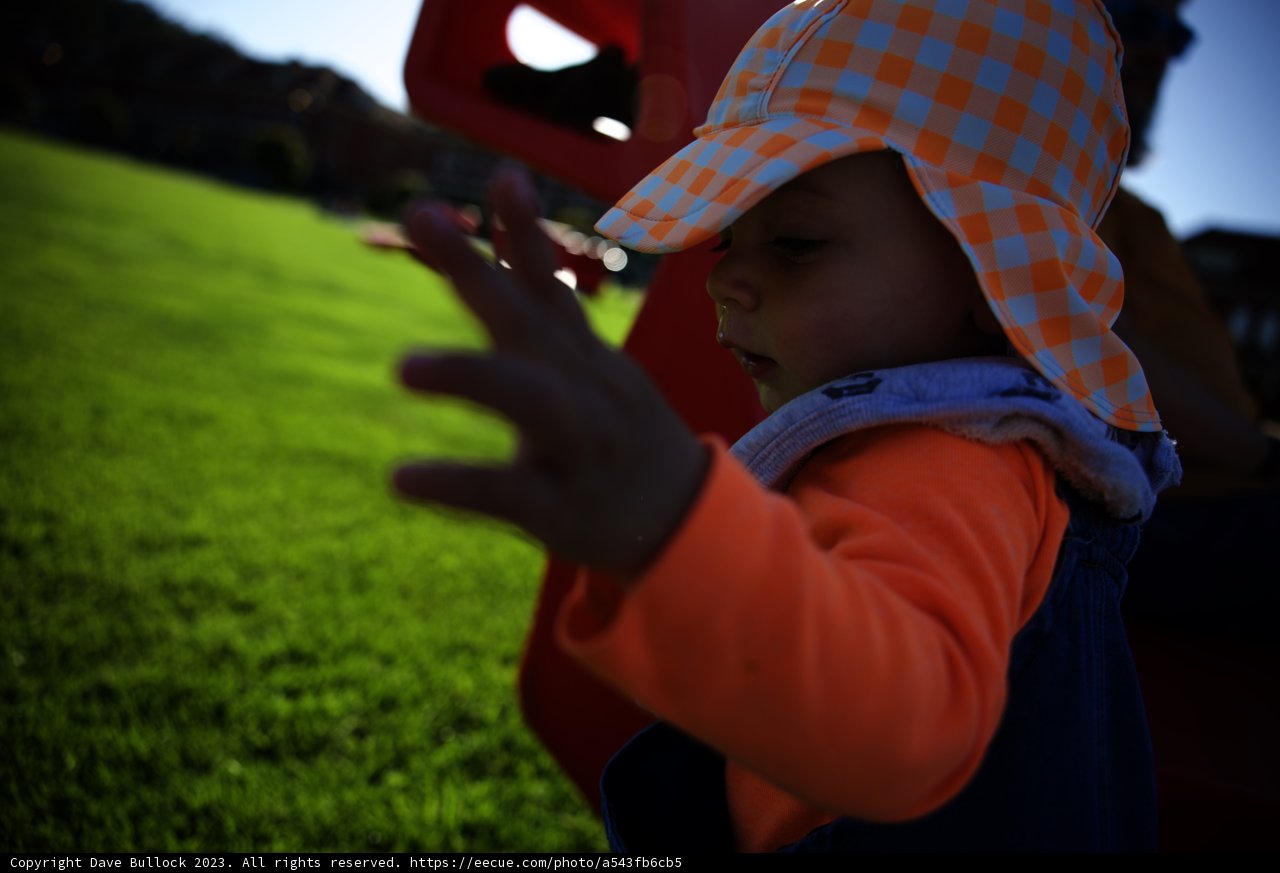 Playful Moments in the Sun