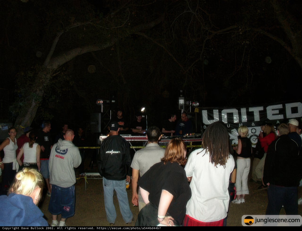 Nighttime Concert Crowd