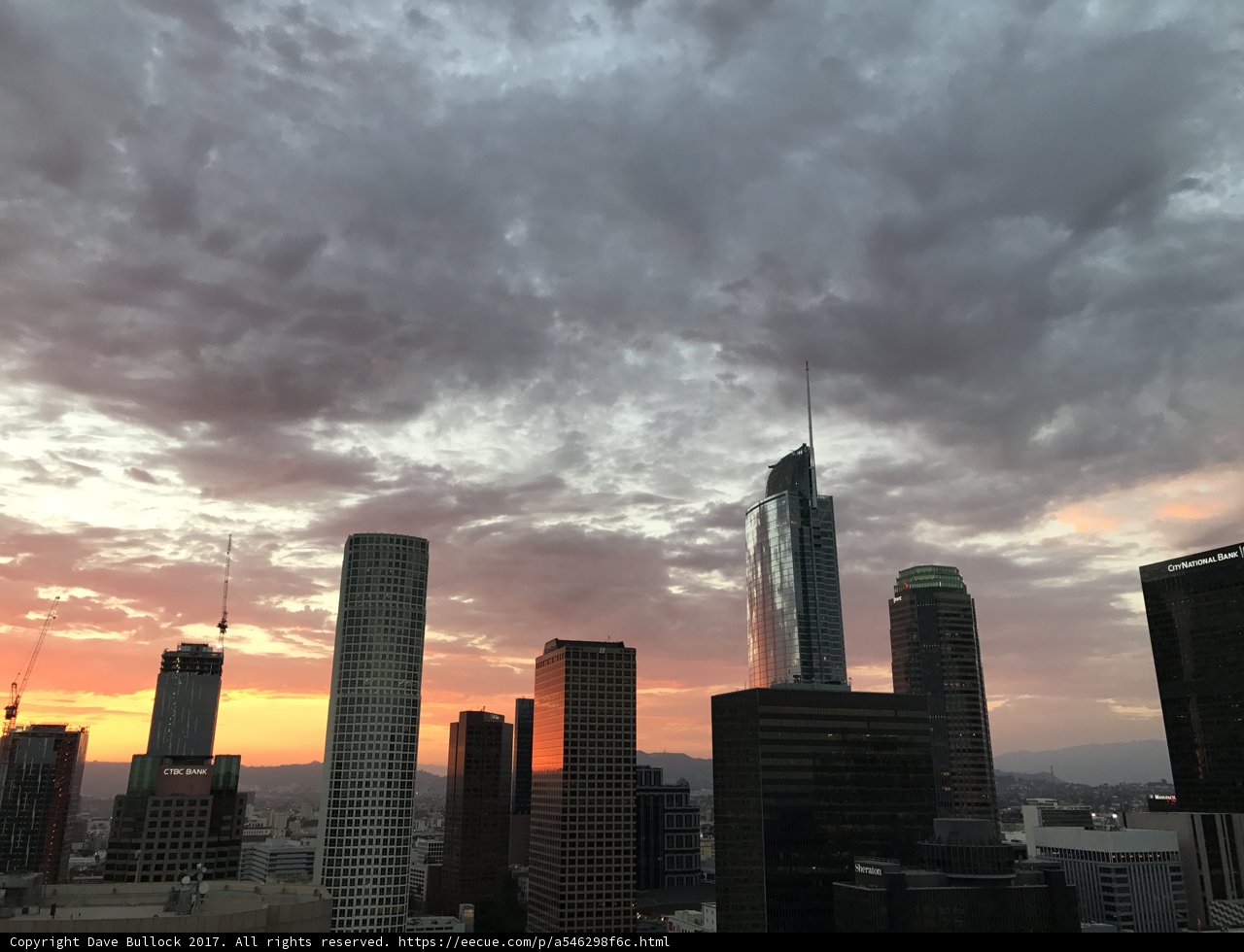 Sunset over the Urban Jungle