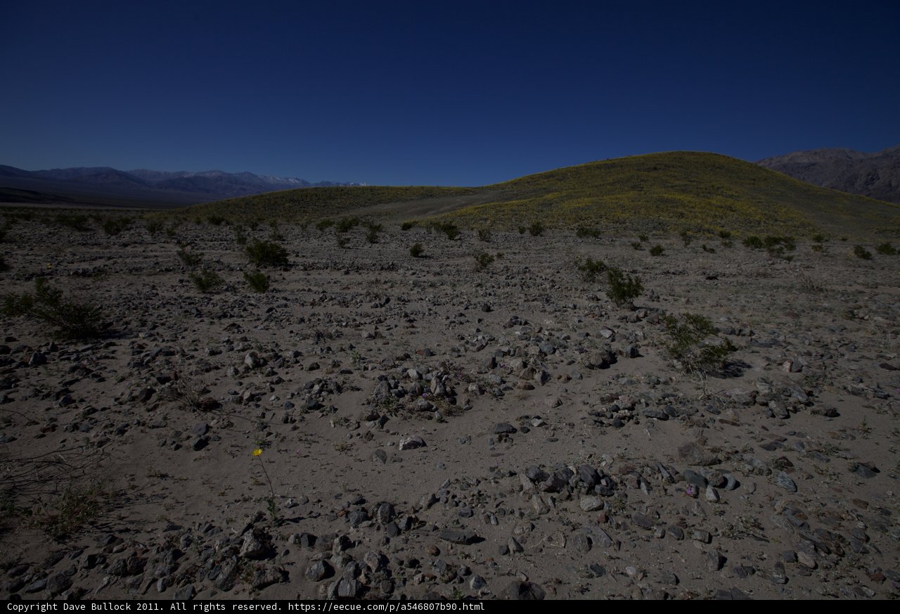 Beyond the Barren