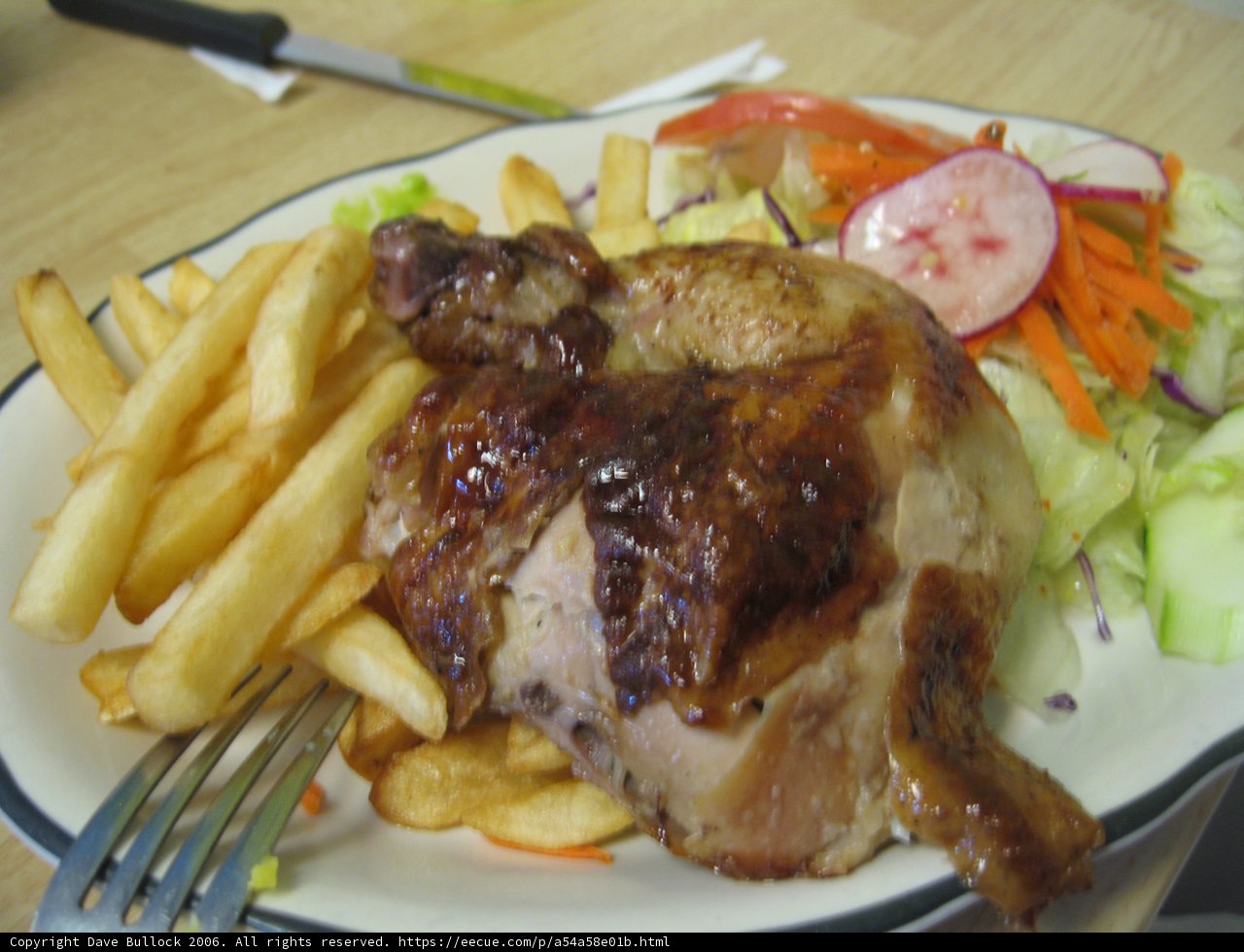 A Delicious Lunch of Chicken and Fries