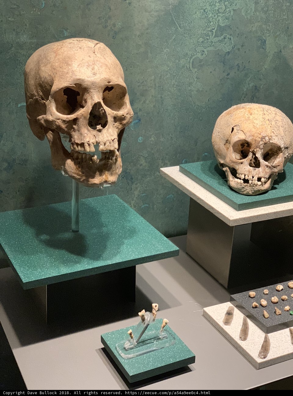Where Death Meets Art