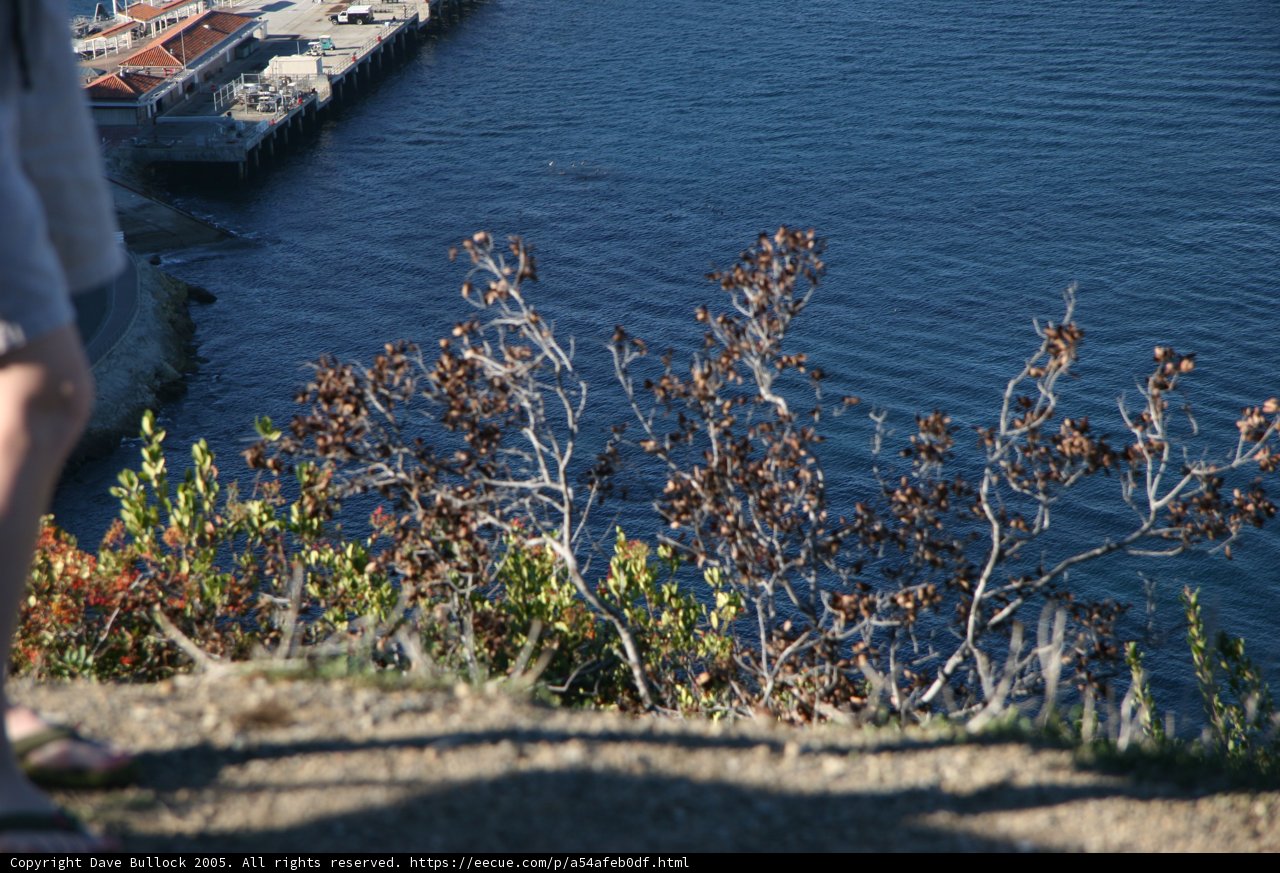 Overlooking the Waterfront
