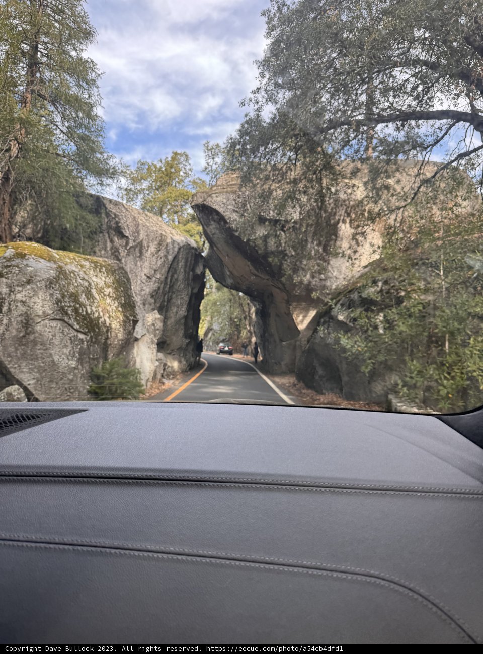 Journey Through Nature's Magnificence